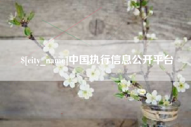 乳山中国执行信息公开平台