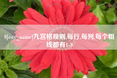 乳山九宫格规则,每行,每列,每个粗线都有1-9