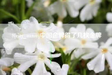 乳山中国金牌得了几枚金牌