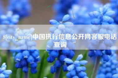 乳山中国执行信息公开网客服电话查询
