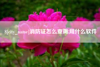 乳山消防证怎么查询,用什么软件