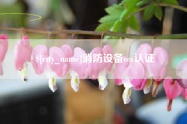 乳山消防设备ccc认证