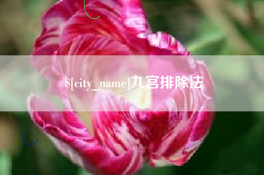 乳山九宫排除法