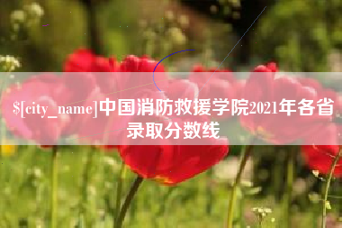 乳山中国消防救援学院2021年各省录取分数线