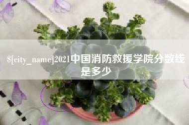 乳山2021中国消防救援学院分数线是多少
