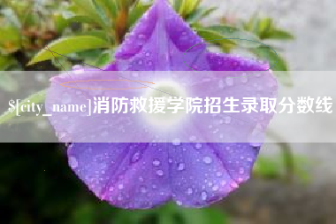 乳山消防救援学院招生录取分数线
