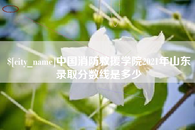 乳山中国消防救援学院2021年山东录取分数线是多少