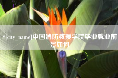乳山中国消防救援学院毕业就业前景如何