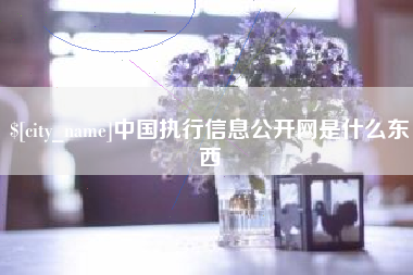 乳山中国执行信息公开网是什么东西