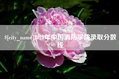 乳山2021年中国消防学院录取分数线