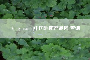 乳山中国消防产品网 查询