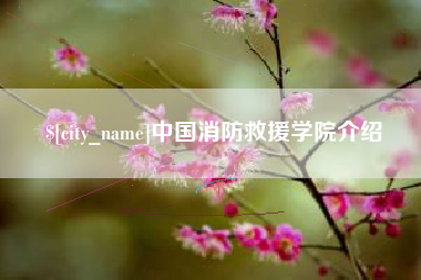 乳山中国消防救援学院介绍