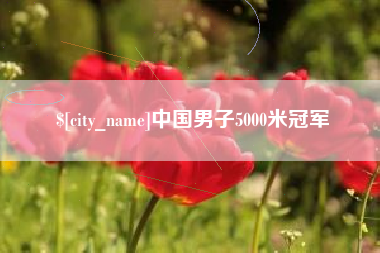 乳山中国男子5000米冠军