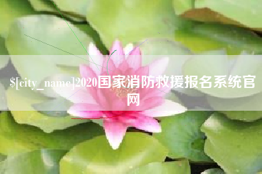 乳山2020国家消防救援报名系统官网