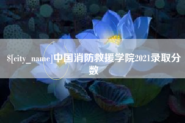乳山中国消防救援学院2021录取分数