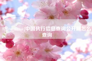 乳山中国执行信息查询公开网怎么查询