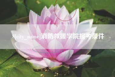 乳山消防救援学院报考条件