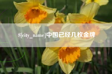 乳山中国已经几枚金牌