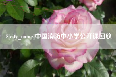 乳山中国消防中小学公开课回放