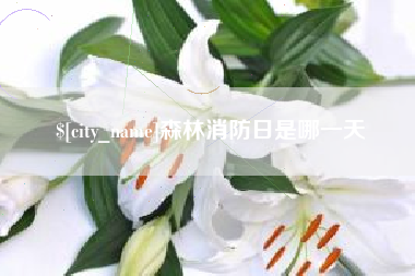 乳山森林消防日是哪一天