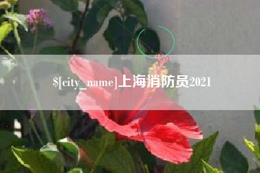 乳山上海消防员2021