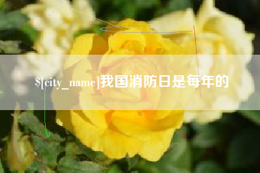 乳山我国消防日是每年的