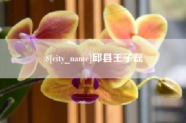 乳山邱县王子磊