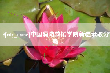 乳山中国消防救援学院新疆录取分数