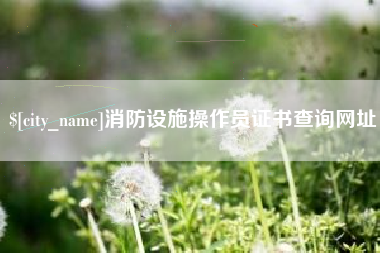 乳山消防设施操作员证书查询网址