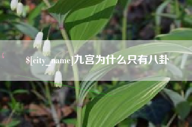 乳山九宫为什么只有八卦