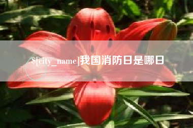 乳山我国消防日是哪日