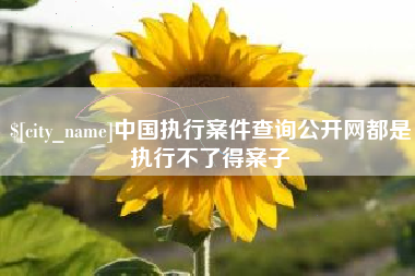 乳山中国执行案件查询公开网都是执行不了得案子