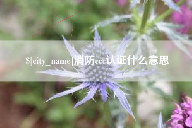乳山消防ccc认证什么意思