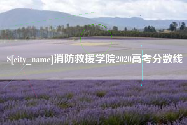 乳山消防救援学院2020高考分数线