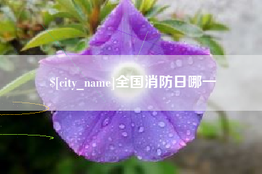 乳山全国消防日哪一