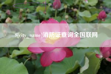乳山消防证查询全国联网
