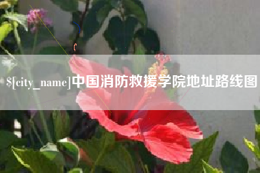 乳山中国消防救援学院地址路线图