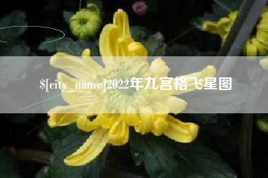 乳山2022年九宫格飞星图