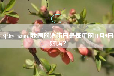 乳山我国的消防日是每年的11月9日对吗？