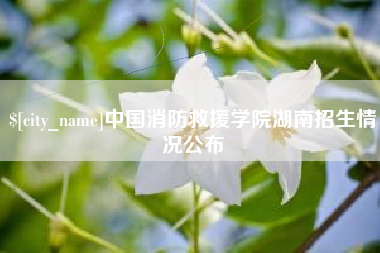 乳山中国消防救援学院湖南招生情况公布