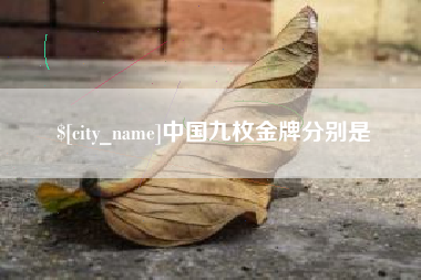 乳山中国九枚金牌分别是