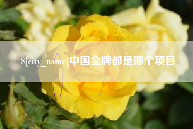 乳山中国金牌都是哪个项目