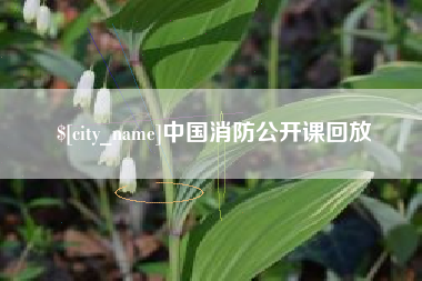 乳山中国消防公开课回放