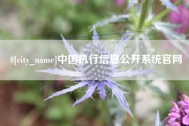 乳山中国执行信息公开系统官网