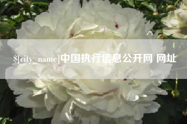 乳山中国执行信息公开网 网址
