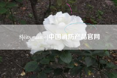 乳山中国消防产品官网