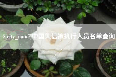 乳山中国失信被执行人员名单查询