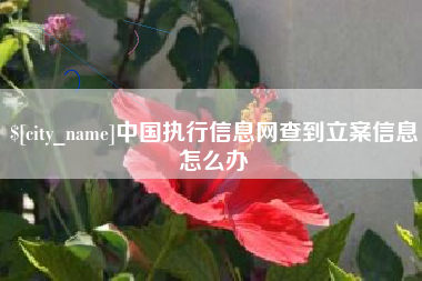 乳山中国执行信息网查到立案信息怎么办