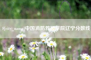 乳山中国消防救援学院辽宁分数线