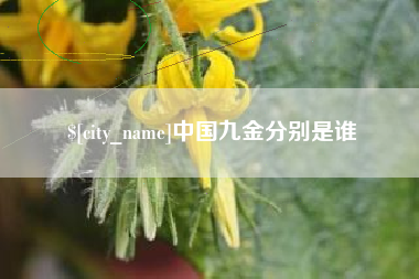 乳山中国九金分别是谁